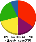和歌山ガーデン 貸借対照表 2008年10月期