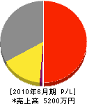 斉藤建設 損益計算書 2010年6月期