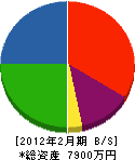 村井工務店 貸借対照表 2012年2月期
