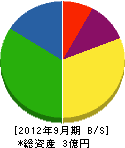 中塚組 貸借対照表 2012年9月期