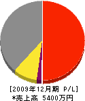 吉澤建設 損益計算書 2009年12月期