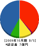 三恵電業 貸借対照表 2009年10月期