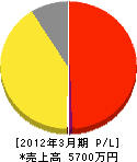 にんじんネット 損益計算書 2012年3月期