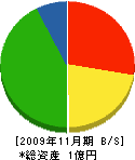 渡辺農園 貸借対照表 2009年11月期
