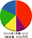 森田電気 貸借対照表 2010年7月期