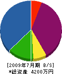 寺島興業 貸借対照表 2009年7月期