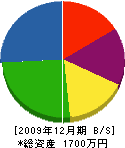 田中鉄工所 貸借対照表 2009年12月期