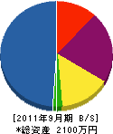 坂上園 貸借対照表 2011年9月期