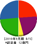 長崎塗装店 貸借対照表 2010年9月期