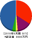 フジタ 貸借対照表 2010年6月期