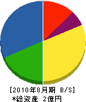 澤井デンキ 貸借対照表 2010年8月期