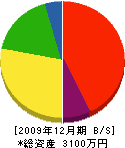 長崎造園 貸借対照表 2009年12月期