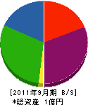 川腰電気商会 貸借対照表 2011年9月期