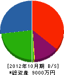 山本建設 貸借対照表 2012年10月期