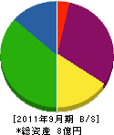 吉江総業 貸借対照表 2011年9月期