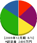 平野電工社 貸借対照表 2009年12月期