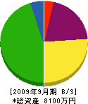 松崎産業 貸借対照表 2009年9月期