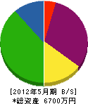 川井工業 貸借対照表 2012年5月期