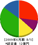 森田硝子 貸借対照表 2009年6月期
