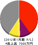 敷島工業 損益計算書 2012年1月期
