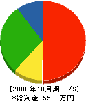 マル宮藤野興業 貸借対照表 2008年10月期