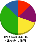 増子工務店 貸借対照表 2010年6月期