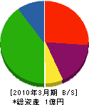 柴田建設 貸借対照表 2010年3月期