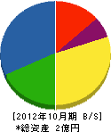 藤本工務店 貸借対照表 2012年10月期