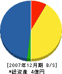 子々川産業 貸借対照表 2007年12月期