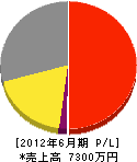 埼玉情報 損益計算書 2012年6月期