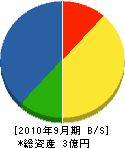 太陽電設 貸借対照表 2010年9月期