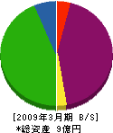 ティー・シージャパン 貸借対照表 2009年3月期