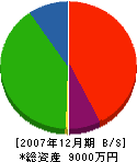 飯島建設 貸借対照表 2007年12月期