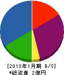 丸カ片山商店 貸借対照表 2013年1月期