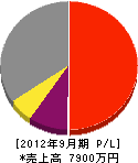中島塗装工業所 損益計算書 2012年9月期