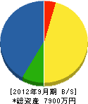 坪井電気商会 貸借対照表 2012年9月期