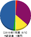 津田工務店 貸借対照表 2010年7月期