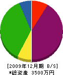 朝倉建設 貸借対照表 2009年12月期