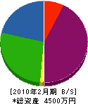 松栄電気 貸借対照表 2010年2月期