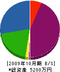 鳳建設 貸借対照表 2009年10月期
