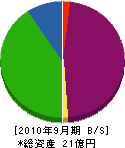 京星 貸借対照表 2010年9月期