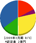 上田鉄工設備工業 貸借対照表 2009年3月期