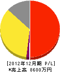 九州消防設備 損益計算書 2012年12月期