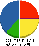寿美工業 貸借対照表 2013年1月期