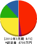 渡辺設備工業 貸借対照表 2012年3月期