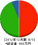 中川塗装店 貸借対照表 2012年12月期