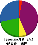 ウエノ石材工業 貸借対照表 2008年9月期