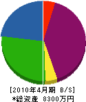 西川創建 貸借対照表 2010年4月期