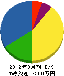 昭和電気工業 貸借対照表 2012年9月期
