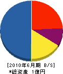 羽地総業 貸借対照表 2010年6月期